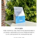 스페셜티커피 원두 엘오공이커피로스터즈 고소한 원두 후기