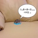 2월 일!상