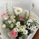 오브무드플라워 이미지