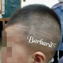 단국대 나래태권도 이미지