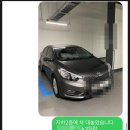 킹카와시 이미지