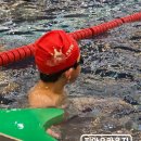 신세계 태권도 이미지