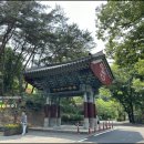 영원사 목불좌상 및 복장유물 | 2024년 6월 10일 충남 공주시 사곡면 태화산 마곡사 - 한국33관음성지