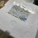 남도(80) | [시서채세상 후기] 광주 송정 수제떡갈비 · 집에서도 간편하게 맛보는 송정동 떡갈비 · 남도로컬푸드팜