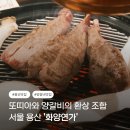 용산-143 | 숙대입구역 맛집 데이트 또띠아와 양갈비의 환상조합 용산 화양연가 생생 후기