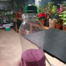 가야농약종묘사 이미지