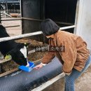 라일락목장 이미지