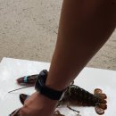 왜관ic실내바다낚시터 이미지