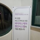 더차이타이 이미지