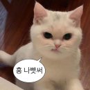 3847 | 💍Wedding 8. 대전 본식 스냅 업체 리스트업(+견적, 상품구성비교)