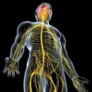 뭉트니스 이미지