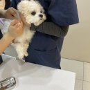 다산마리동물병원 이미지