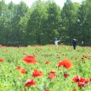 개화농장 이미지