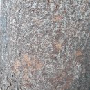 느티나무사우나 이미지