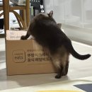 월명어린이집 | 9월 일상 (가을이 오면~)