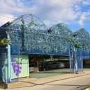 정민농장 이미지