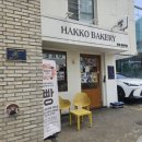 핫코베이커리 | 핫코베이커리에서 빵이랑 커피 먹고 온 후기 🥐☕ 일본식 감성 제대로!