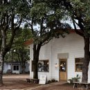 큰고개목장 | 제주 성산카페) 승마 &amp; 이색자전거 체험 할 수 있는 <목장카페 밭디>