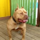 탑클레스 이미지