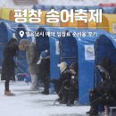 쉴만한 맑은물가 | 2026 평창 송어축제 기본정보, 겨울 축제 가볼만한곳 입장료 예약 후기