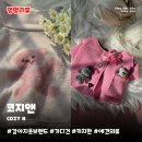 몽글몽글PET | 강아지옷브랜드 코지앤 COZYN | 토이 가디건, 베어 하이넥 탑 내돈내산후기