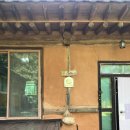 솔바람 힐링하우스 | 아이랑 제천 여행 숙소 추천 촌캉스 에어비앤비 솔바람 힐링하우스