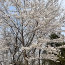 ㈜중랑현대공업사 | 용마산 등산 후기/용마산 맛집 아천냉면/ 구리에서 용마산 가는법 🌸