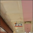 모니카주단 네이버블로그