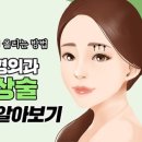 에스에이치(SH)성형외과의원 네이버블로그