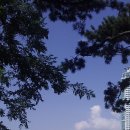 다이야몬드 이미지