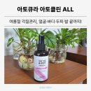 (주)시아토건 | 여름철 각질관리, 아토큐라 아토클린 하나로 얼굴·바디·두피·발 끝까지! 직접 사용 후기 (공동구매)