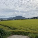 동읍1260 이미지