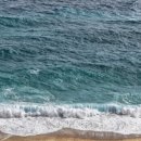 한국폴리텍 IV 대학 홍성캠퍼스 이미지