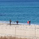 바다정원 이미지