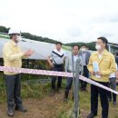 드림태양광발전소 이미지