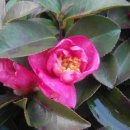 문수우체국(앞) 이미지