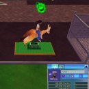 (주)선 소프트 | 주 타이쿤 2(Zoo Tycoon 2, 동물원 경영 시뮬레이션 게임) 플레이 후기