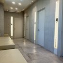 울산 강일웅동물메디컬센터 이미지