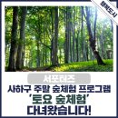 사하구 주말 숲체험 프로그램, 토요 숲체험 생생후기