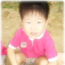 현규농장 Daum카페