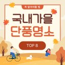 신성리생태공원 | 국내 가을단풍 10월 여행지 TOP 8 추천