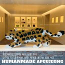 휴먼 | [휴먼메이드 압구정] 매장 방문 후기ㅣ압구정 익스클루시브, 방탄 제이홉 콜라보 실물 사진