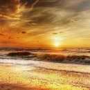 Soo-J 행정사사무소 이미지