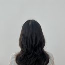 보라헤어살롱 이미지