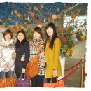 광주광역시청 이미지