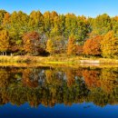 해외 감성 가득한 국내 이색 명소 TOP 4 이미지