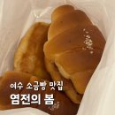 염전의봄 이미지