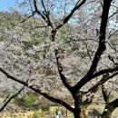 덕천서원화장실 이미지