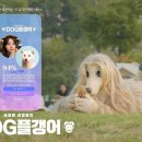 제일기획 - 경산시 강변동로 288 | 제일기획