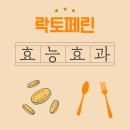 늘팜 | 락토페린, 면역 강화의 숨은 카드... 효과 기대합니다!